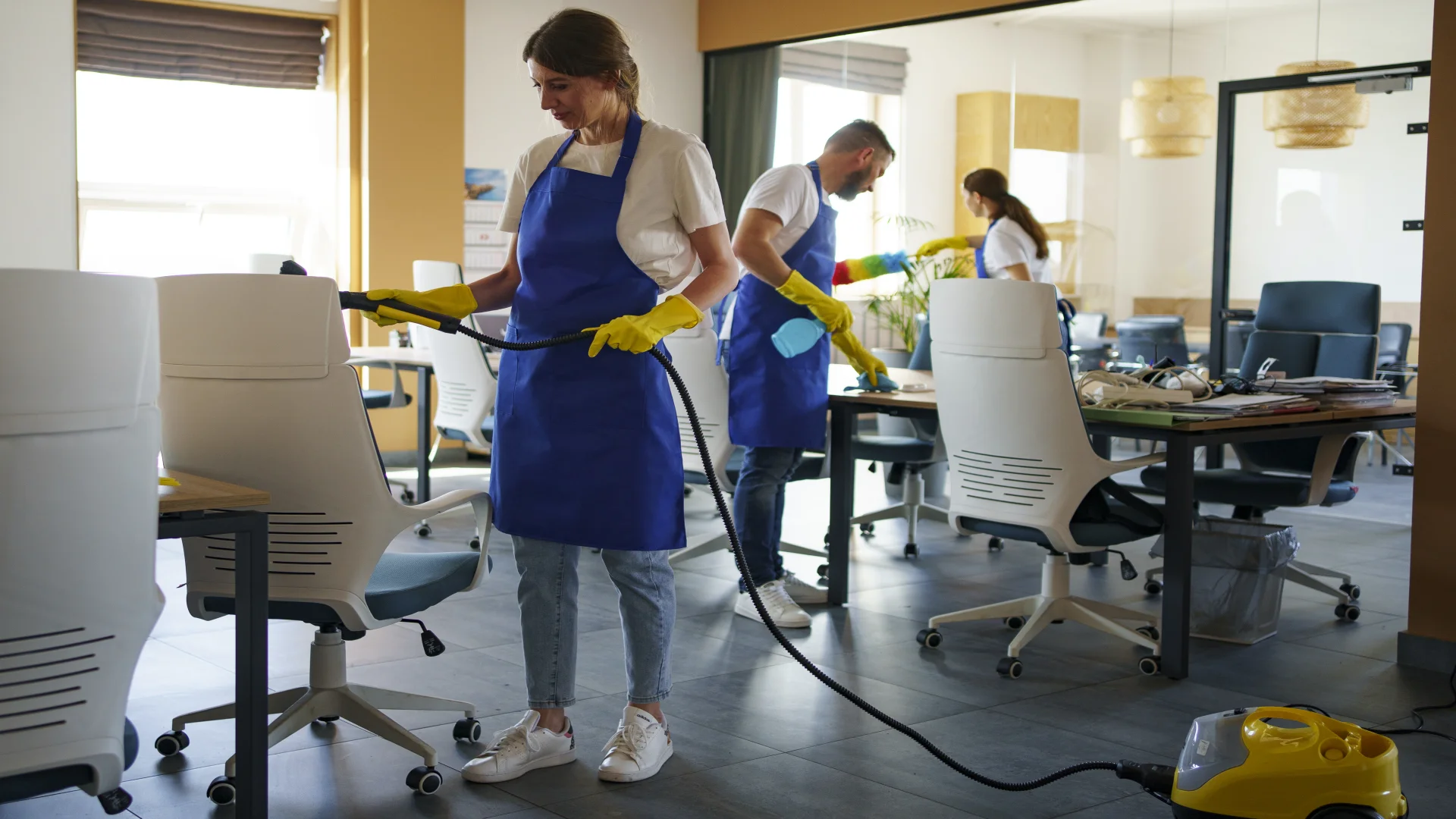 Professional cleaning services